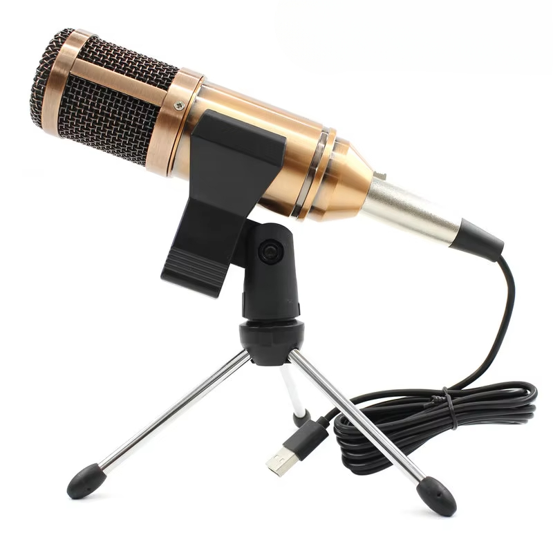 Mikrofon Kondensor USB Bm-800  - Pc Gaming Youtuber ulasan dan harga